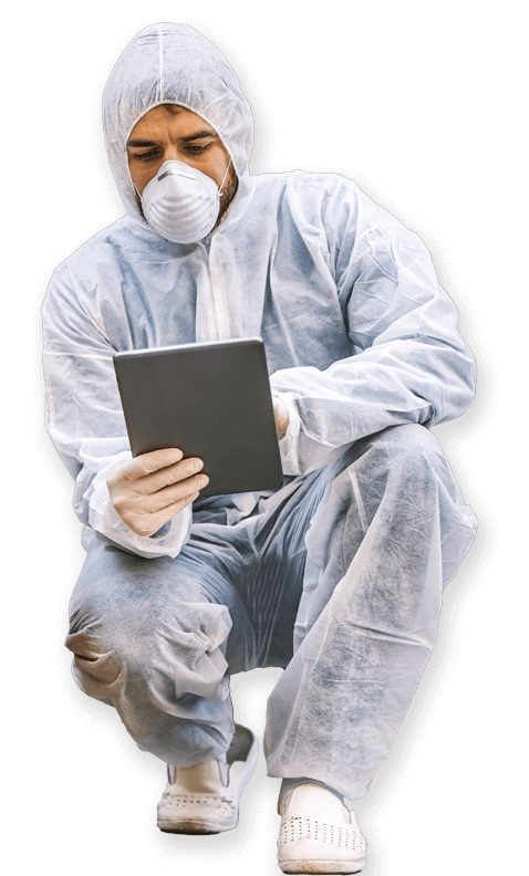derattizzare preventivo